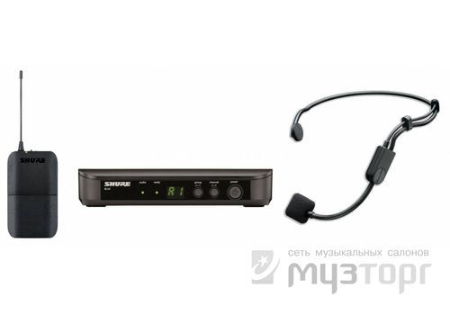 Ремонт SHURE BLX14E/P31 K3E